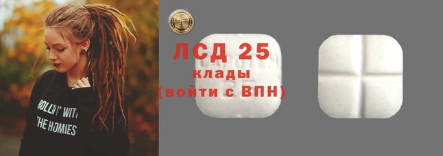 эйфоретик Алзамай
