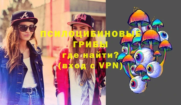 ПСИЛОЦИБИНОВЫЕ ГРИБЫ Абаза