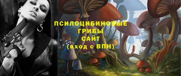 мяу мяу мука Абинск