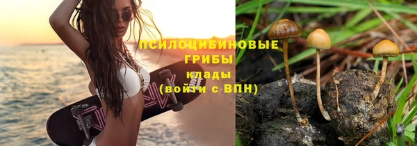 метадон Новозыбков